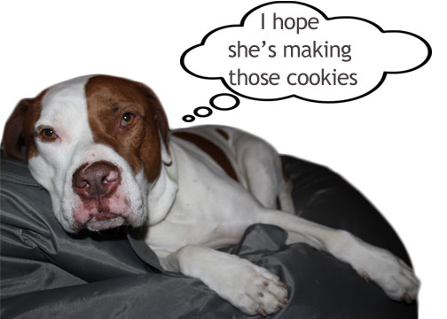 easy dog cookies